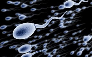 Миниатюра к статье Сколько времени живут сперматозоиды в презервативе?